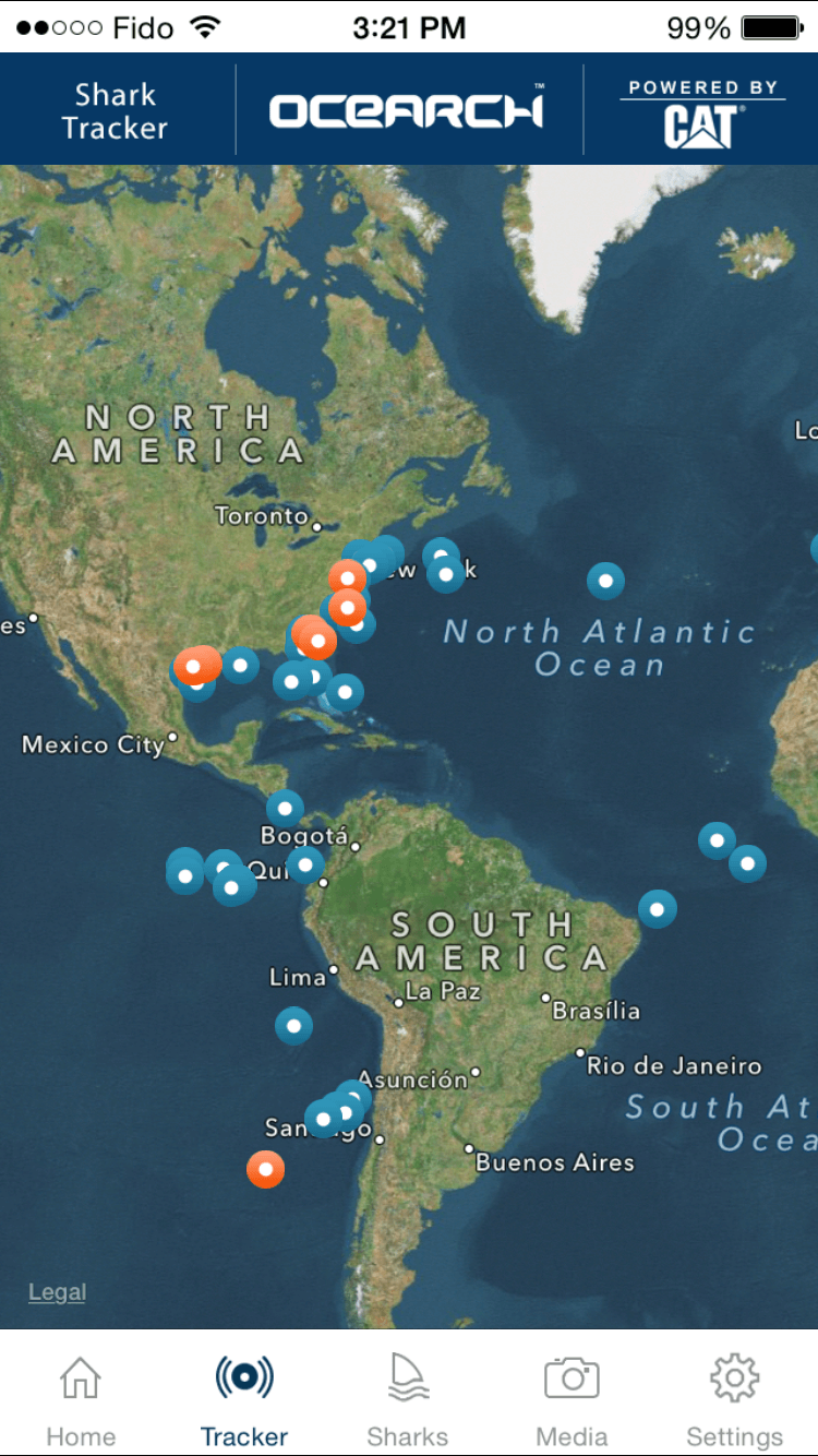 14 Oranges Ocearch Map Shark Tracker Image 2