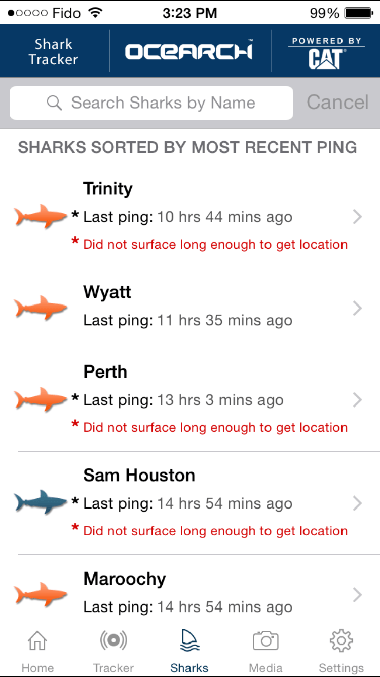 14 Oranges Global Shark Tracker Shark Name List