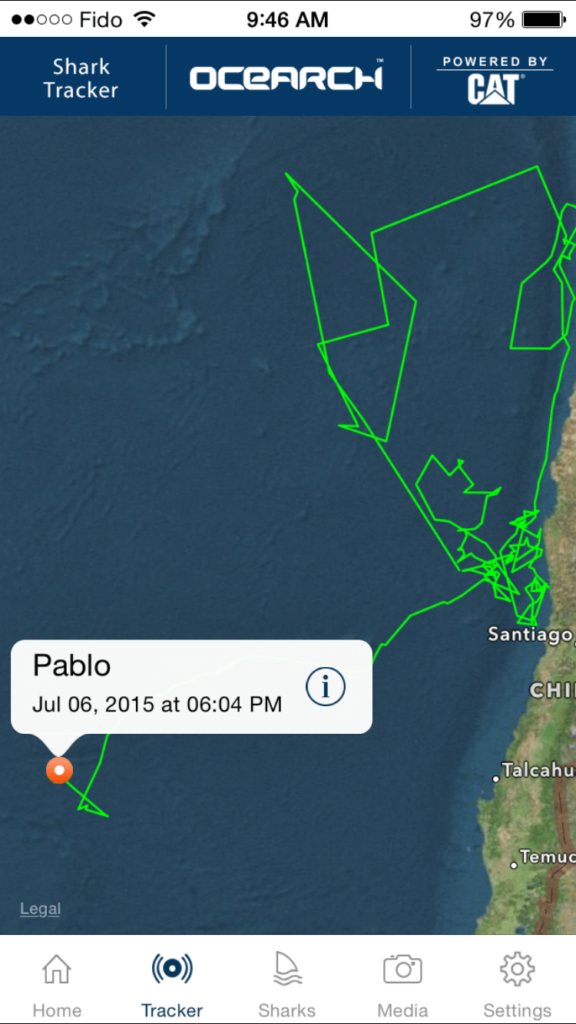 Meet Pablo. He enjoys terrorizing the coast of Santiago