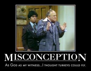 14 Oranges Meme Misconception as God as my witness … I thought turkeys could fly