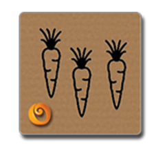 14 Oranges Carrots Drawing on Cardboard