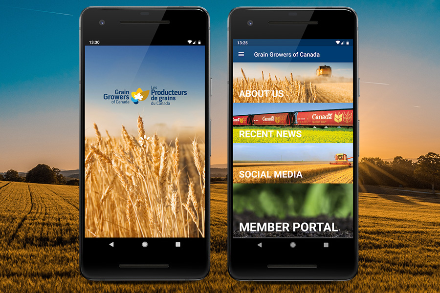 14 Oranges Blog Grain Growers of Canada Mobile App Grain Fields