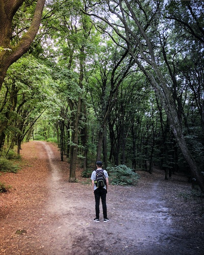 14 Oranges Man standing at junction for 2 paths