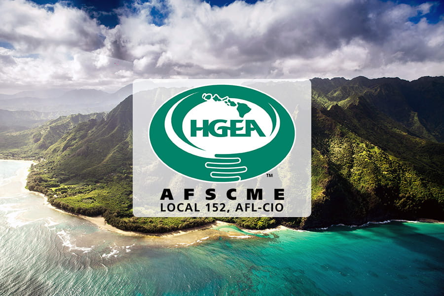 14 Oranges HGEA Blog Hero Image